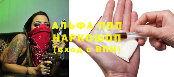 твердый Ладушкин