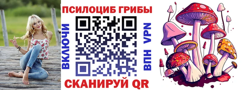 Галлюциногенные грибы Cubensis  Нелидово 