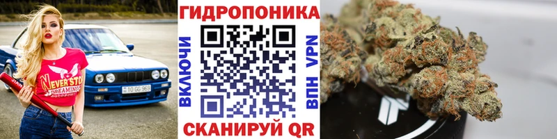 Бошки Шишки White Widow  Нелидово 